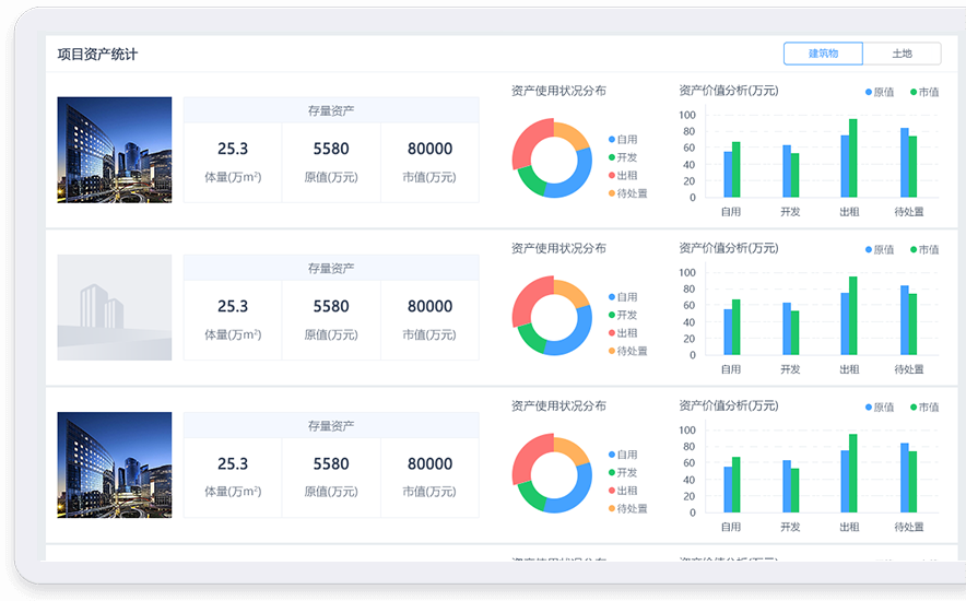 项目资产管理情况