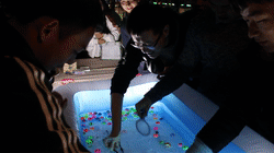 小活动海底捞月