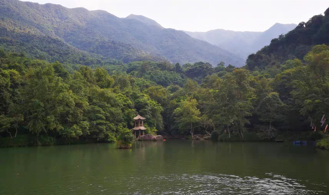 野趣沟风景